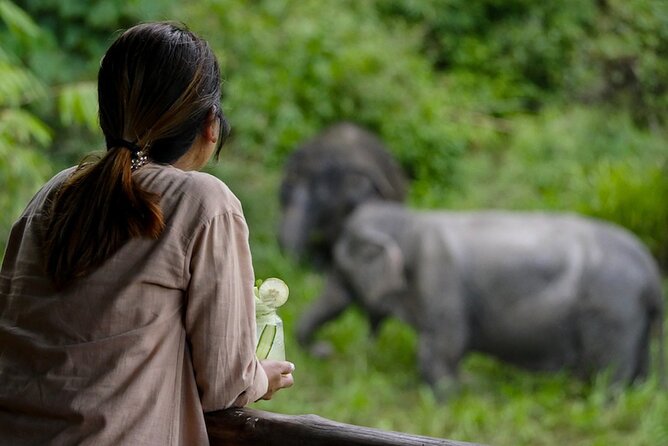 Phuket Elephant Sanctuary Canopy Walkway Tour - Transportation Details