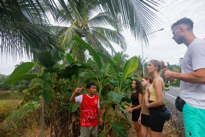 Phuket: Elephant Sanctuary Full Day Tour in Khaolak - Review Summary