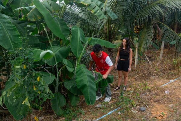 Phuket: Elephant Sanctuary Full Day Tour in Khaolak - Common Questions
