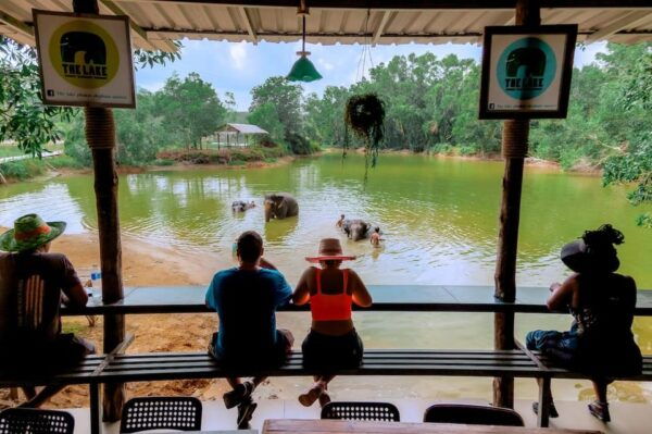 Phuket: Elephant Sanctuary Gentle Giants Feeding Adventure - Customer Reviews