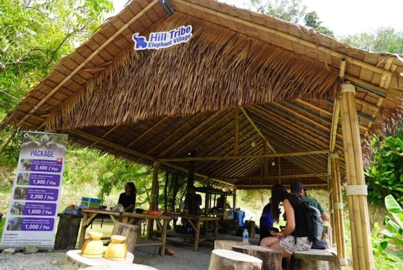 Phuket: Elephant Sanctuary Guided Tour with Hotel Transfers - Good To Know