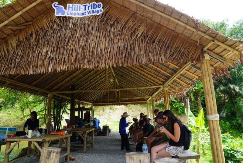 Phuket: Elephant Sanctuary Guided Tour with Hotel Transfers - Valuable Insights from Reviewers