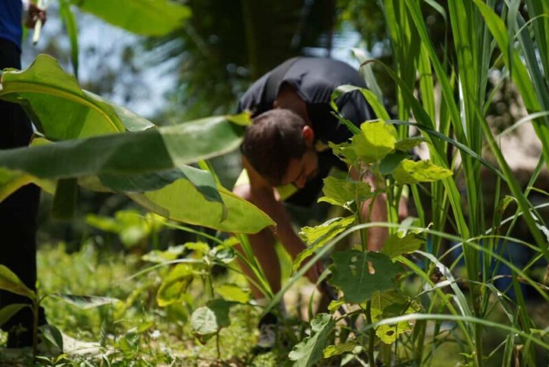 Phuket: Elephant Sanctuary Guided Tour with Hotel Transfers - Final Thoughts