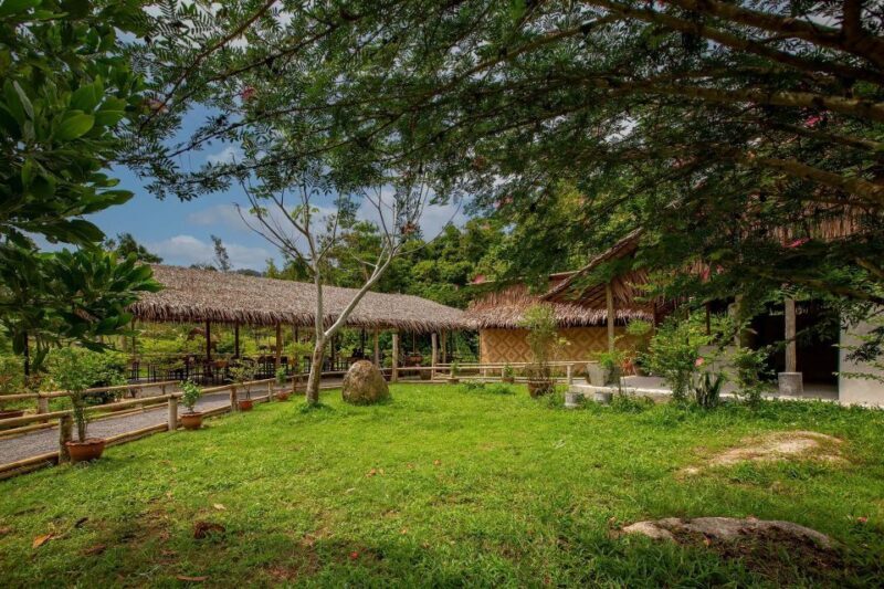 Phuket: Elephant Sanctuary Guided Tour with Hotel Transfers - Final Thoughts