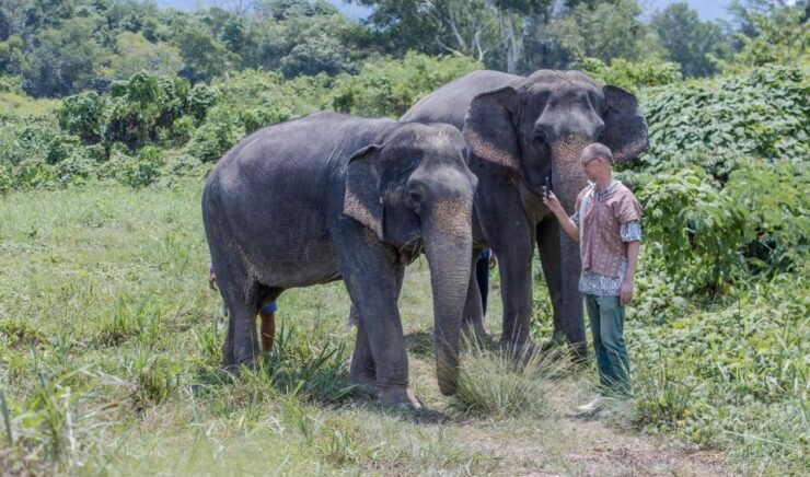 Phuket: Elephant Sanctuary Small Group Tour - Tour Highlights