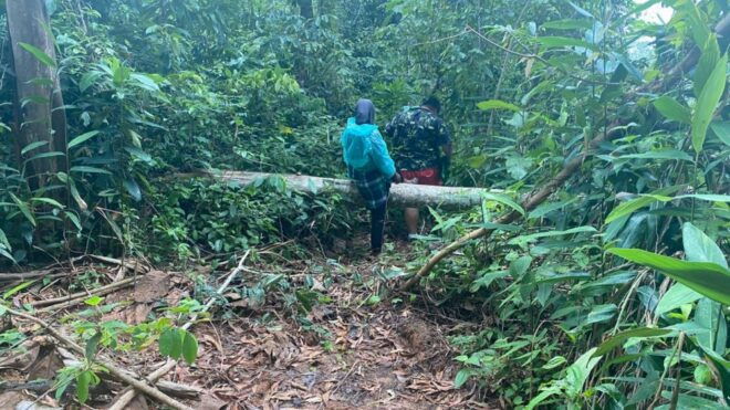 Phuket: Elephant Sanctuary Small Group Tour - Review Summary