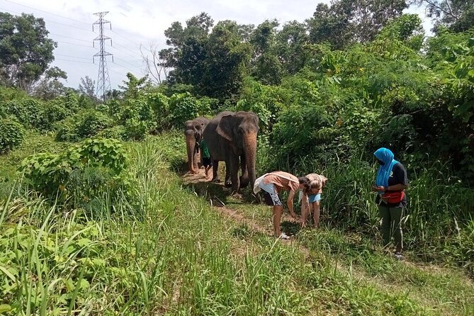 Phuket: Elephant Sanctuary Small Group Tour - Reviews