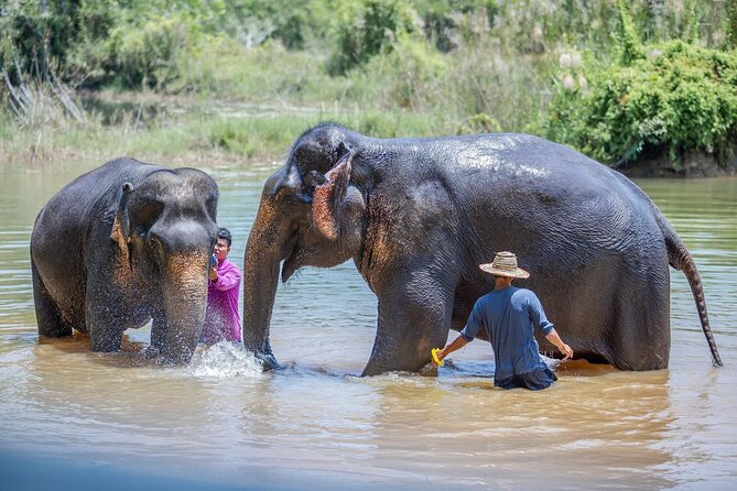 Phuket: Elephant Sanctuary Small Group Tour - Ethical Sanctuary Experience