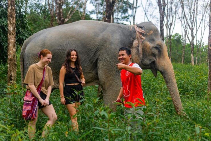 Phuket: Elephant Sanctuary Small Group Tour in Khaolak - Activity Details
