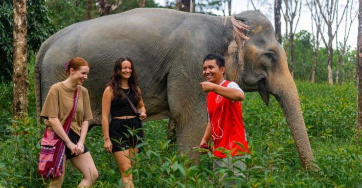 Phuket: Elephant Sanctuary Small Group Tour in Khaolak - Live Tour Guide