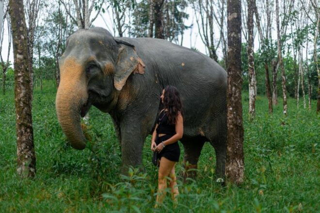 Phuket: Elephant Sanctuary Small Group Tour in Khaolak - Pickup and Transfers