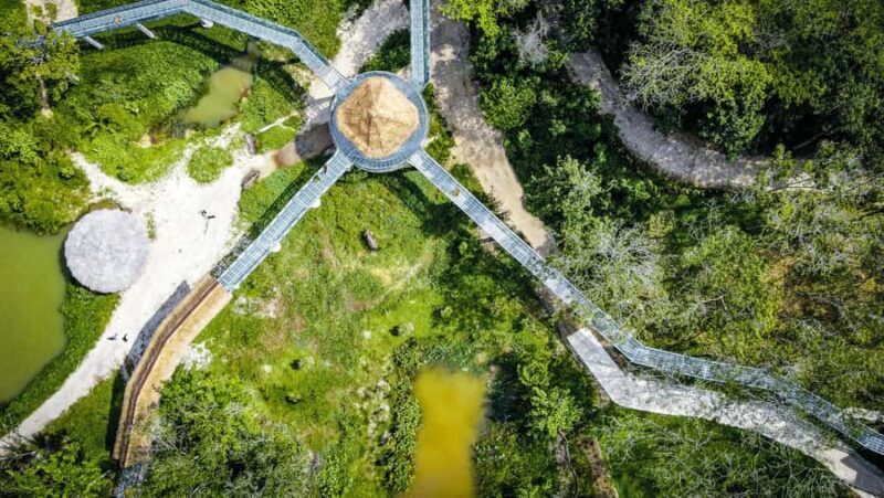 Phuket: Elephant Sanctuary Tour - Canopy Walk & Feeding - Good To Know