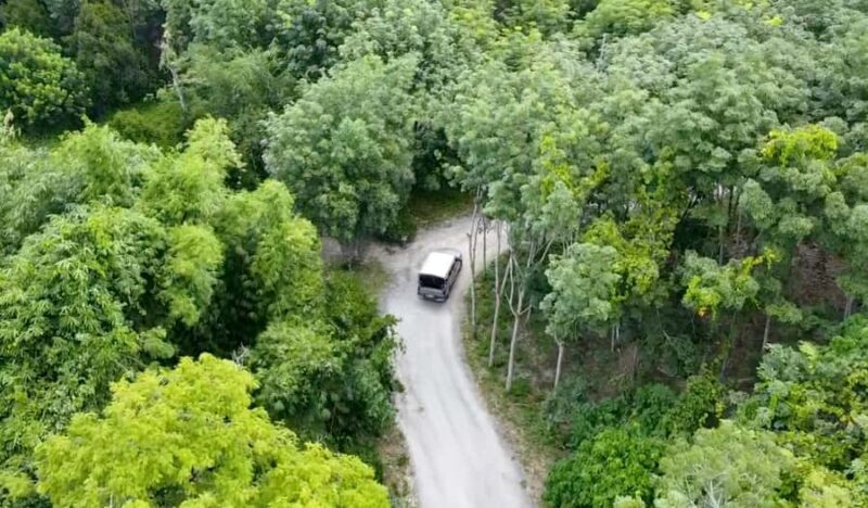 Phuket: Elephant Sanctuary Tour - Canopy Walk & Feeding - FAQs