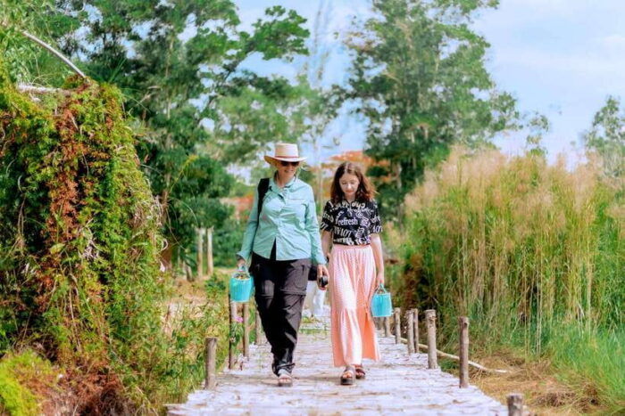 Phuket: Elephant Sanctuary Tour With Pickup & Optional Lunch - Optional Thai Culinary Experience