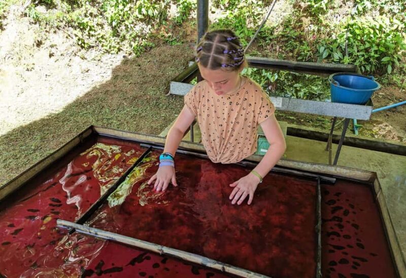 Phuket: Elephant Sanctuary Visit - Cooking Class & Lunch - Why This Tour Is Such Good Value