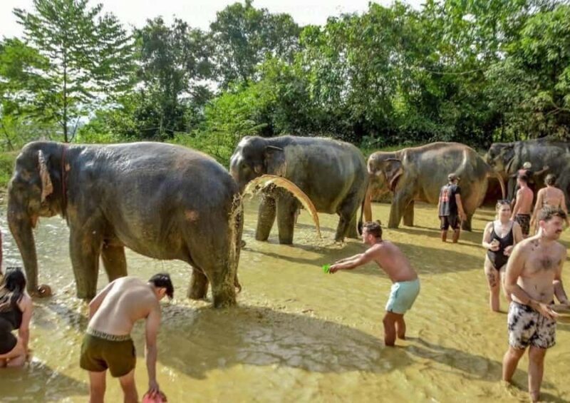Phuket: Elephant Sanctuary Visit with Mud Spa & Workshop - The Value and Final Verdict