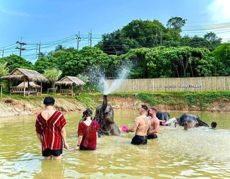 Phuket: Elephant Sanctuary Visit with Mud Spa & Workshop - Practical Details to Keep in Mind