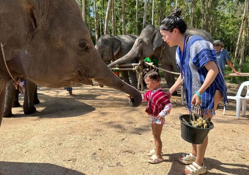 Phuket: Elephant Sanctuary Visit with Mud Spa & Workshop - The Sum Up