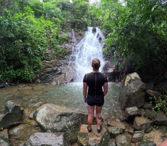 Phuket: Elephant Sanctuary,Cooking Class and Waterfall Tour - Walking With the Elephants