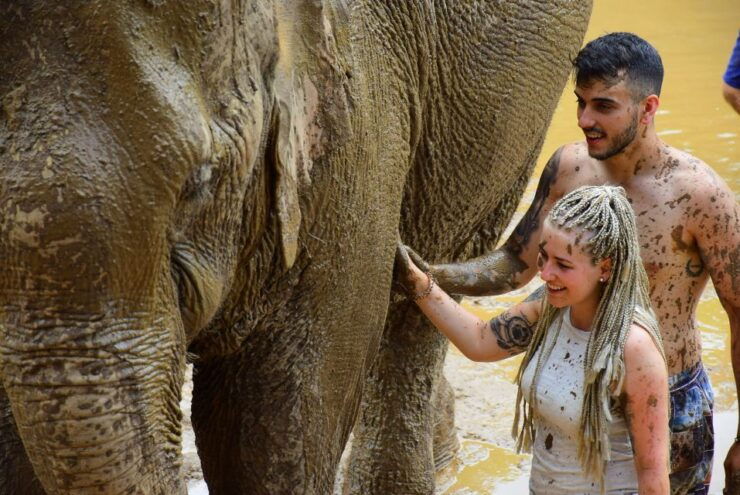 Phuket: Elephant Save & Care Program Tour - Experience
