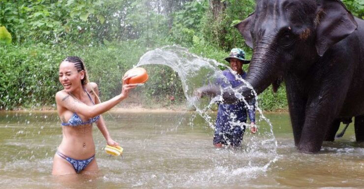 Phuket: Elephant & Sea Turtle Conservation Tour With Rafting - Highlights