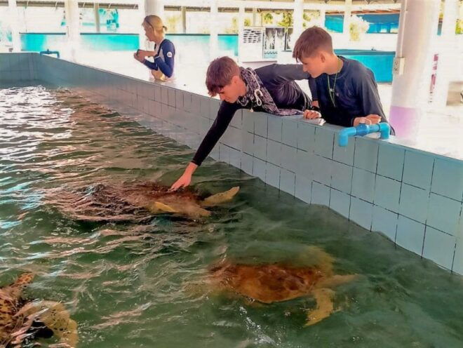 Phuket: Elephant & Sea Turtle Conservation Tour With Rafting - Full Description