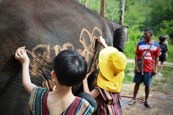 Phuket Ethical Elephant Care Sanctuary Nai Dee Half-Day or 2-Hour - Good To Know