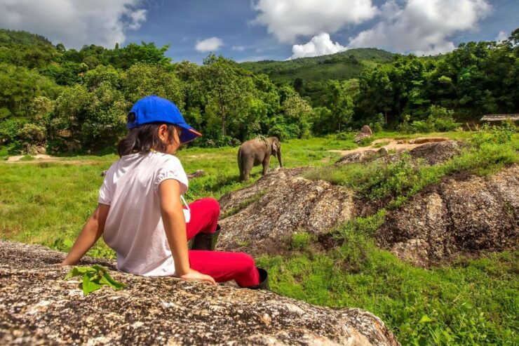 Phuket: Ethical Elephant Nature Park Visit With Lunch - Booking Information