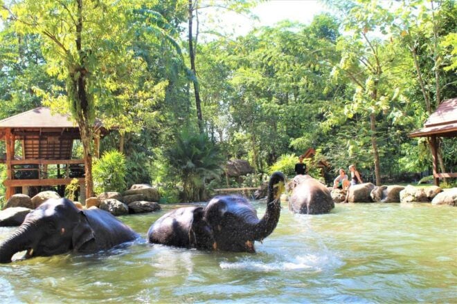 Phuket: Ethical Elephant Sanctuary Experience - Inclusions