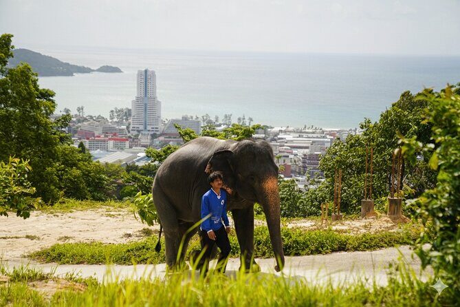 Phuket Ethical Elephant Sanctuary Guided Tour and Hotel Transfers - A detailed look at the tour experience