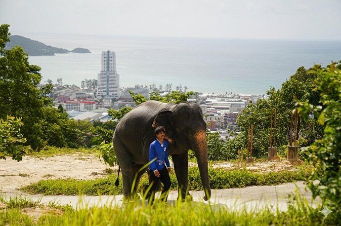 Phuket Ethical Elephant Sanctuary Guided Tour and Hotel Transfers - FAQ