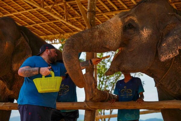 Phuket: Feed and Play With Clifftop Seaview - Tips for Your Visit