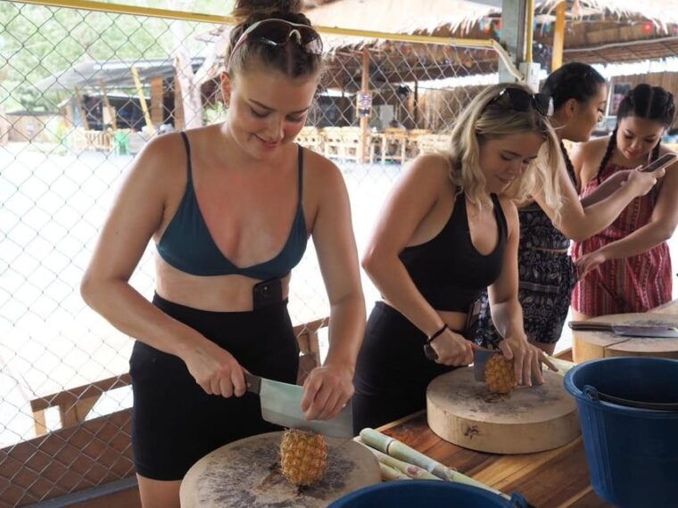 Phuket: Feeding Elephants at Phuket Elephant Care - Location and Pickup Information