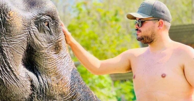 Phuket: Feeding Elephants at Phuket Elephant Care - Customer Reviews and Ratings