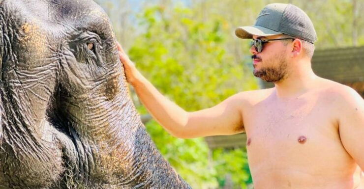 Phuket: Feeding Elephants at Phuket Elephant Care - Activity Details