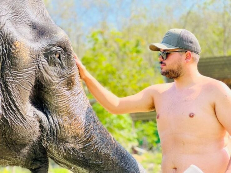 Phuket: Feeding Elephants at Phuket Elephant Care - Experience