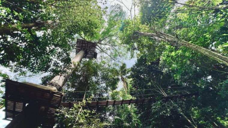 Phuket: Flying Hanuman Zipline Adventure - Transportation and Accessibility