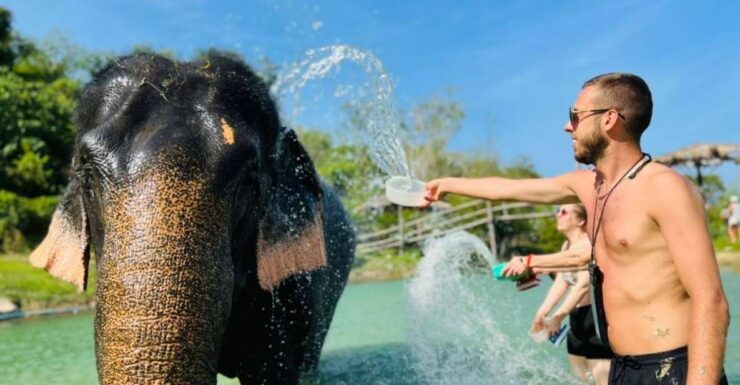 Phuket: Full-Day Elephant Explorer at Phuket Elephant Care - Experience and Itinerary