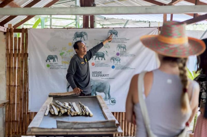Phuket: Full-Day Ethical Elephant Sanctuary Tour with Lunch - A Deep Dive into the Phuket Ethical Elephant Sanctuary Tour