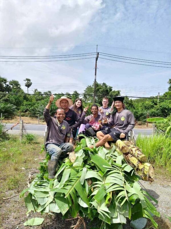 Phuket: Full-Day Ethical Elephant Sanctuary Tour with Lunch - Who Should Consider This Tour?