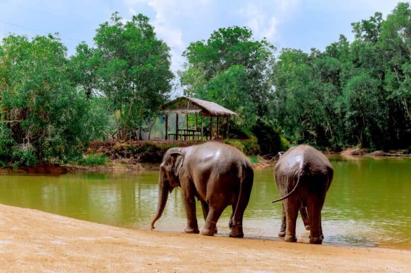 Phuket: Full-Day Ethical Elephant Sanctuary Tour with Lunch - Who Will Love This Tour?