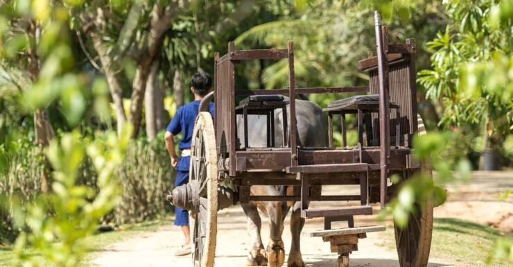 Phuket: Full-Day Local Life Culture Tour With Pickup & Lunch - Pickup and Itinerary Details