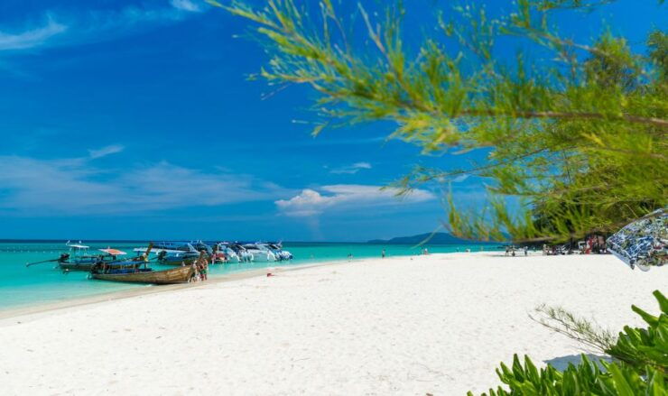 Phuket: Full Day Speed Boat Tour Phi Phi and Bamboo Island - Tour Highlights