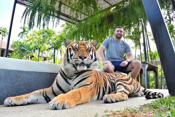 Phuket: Full-Day Tour with Phuket town, Temples, and Adventure - End of the Day: Cultural and Culinary Experiences