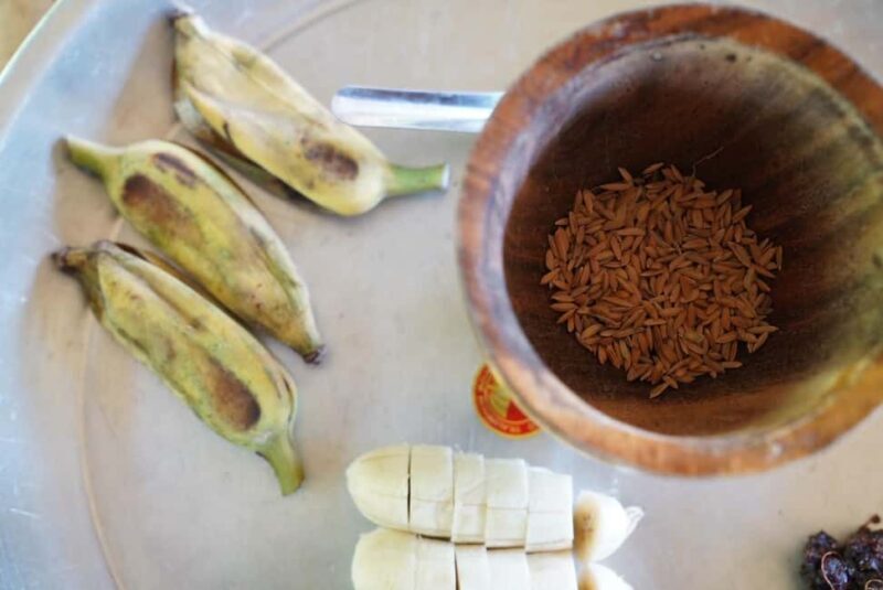 Phuket: Guide Tour to Patong Elephant Sanctuary - Good To Know