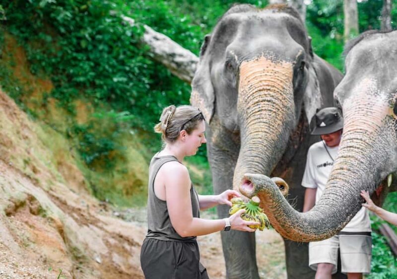 Phuket: Guided Tour ATV Ride & Elephant Feeding & City Trip - Good To Know