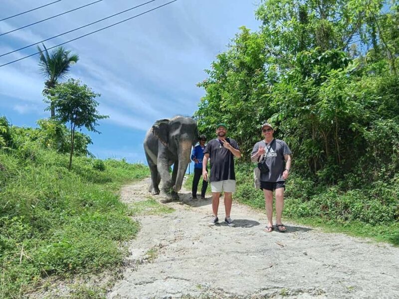 Phuket: Guided Tour to Elephant Sanctuary with Transfer - Good To Know