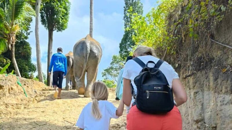 Phuket: Guided Tour to Elephant Sanctuary with Transfer - FAQ