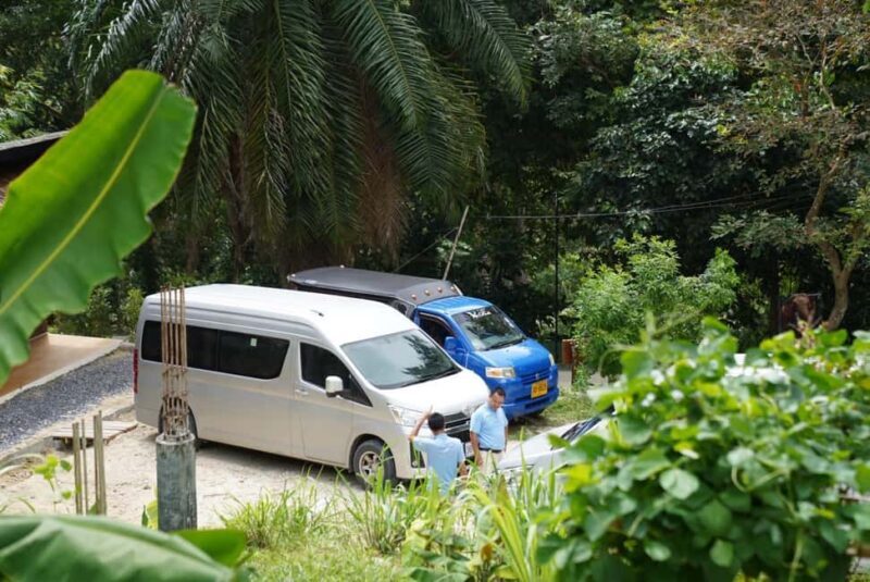 Phuket : Guided Tour to Elephant Sanctuary with Transfers - Introduction