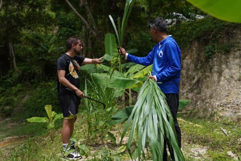 Phuket : Guided Tour to Elephant Sanctuary with Transfers - Pricing and Value